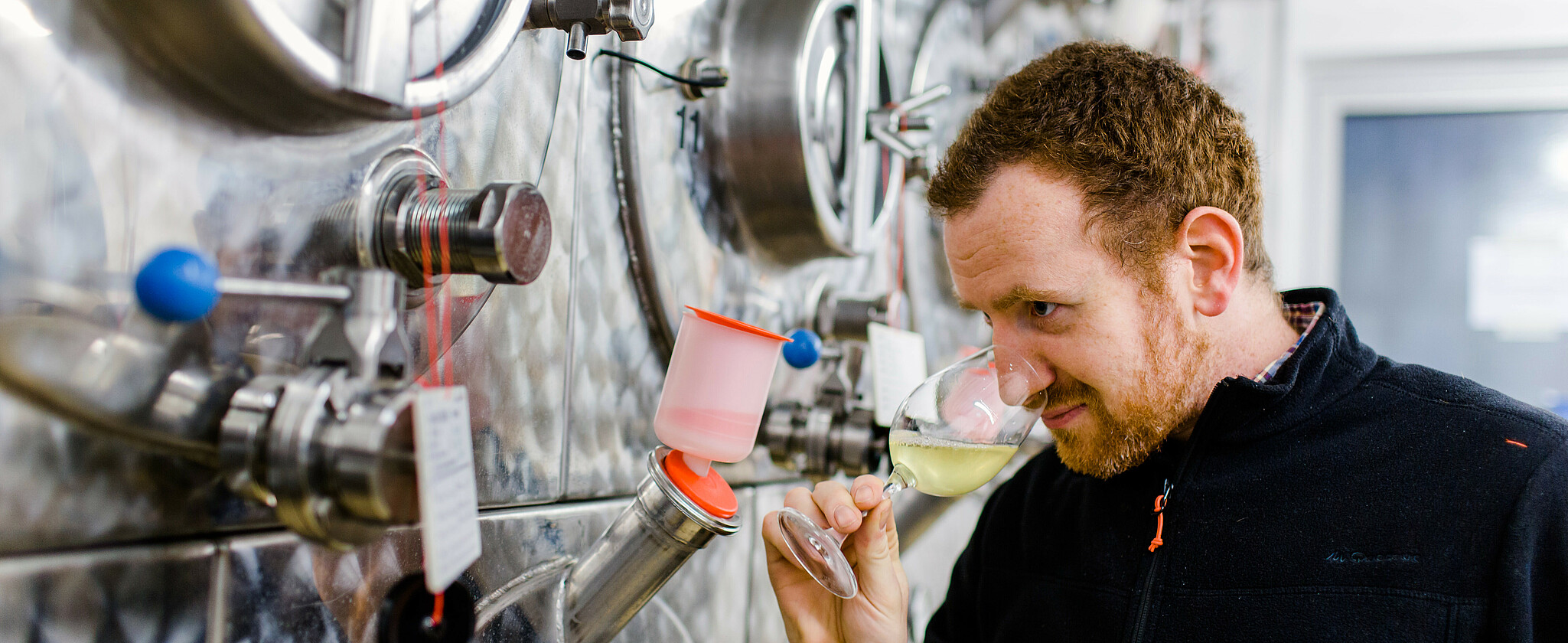 Studierender im Weinkeller