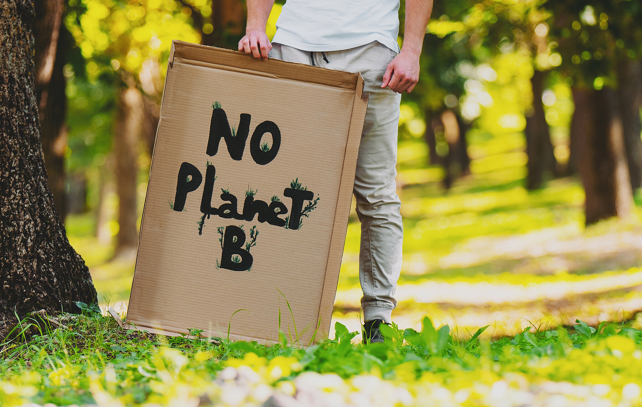 Pappschild mit Aufschrift No Planet B vor grünem Hintergrund