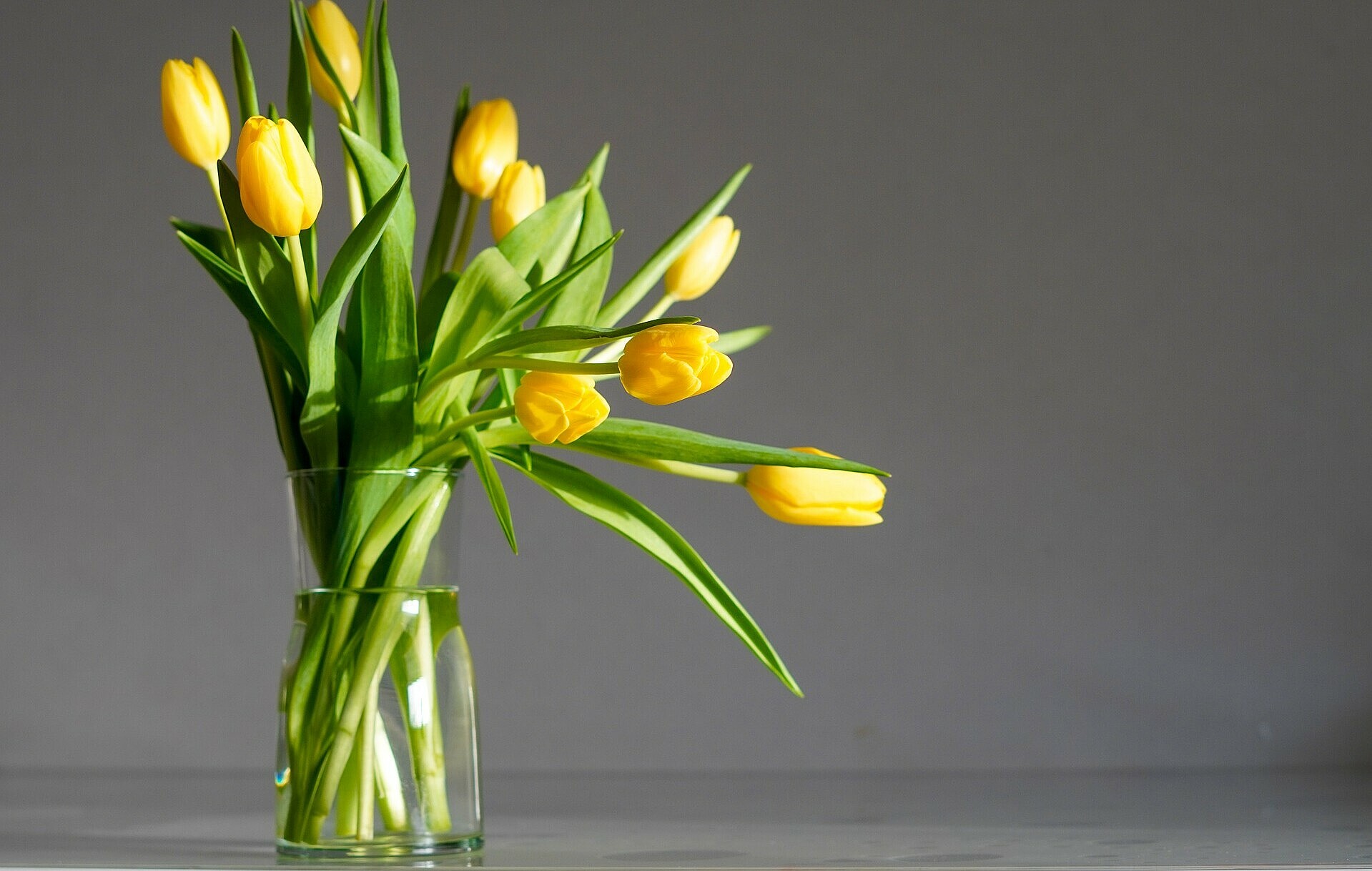 Gesundheitsversorgung IMÖVG