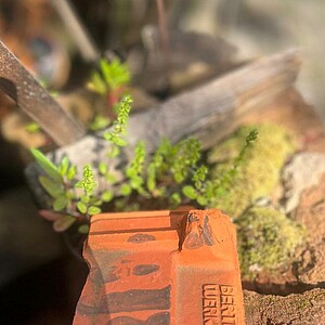 Replacement image 03 Team IMÖVG