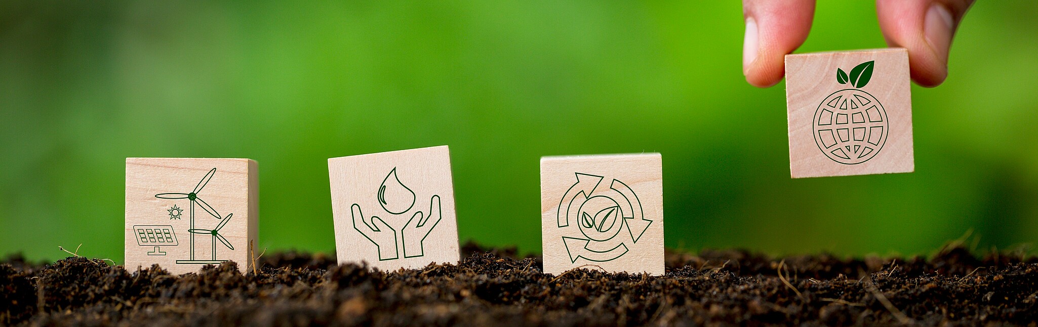 Symbolic image of sustainability