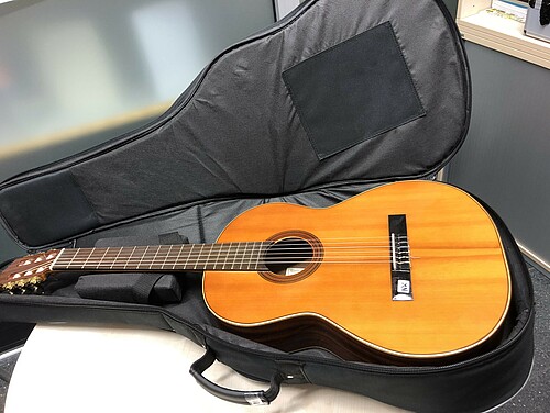 Gitarre liegt in einer geöffneten Gitarrentasche