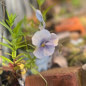 Ersatzbild 02 Team IMÖVG